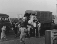 le camionette a Ostia